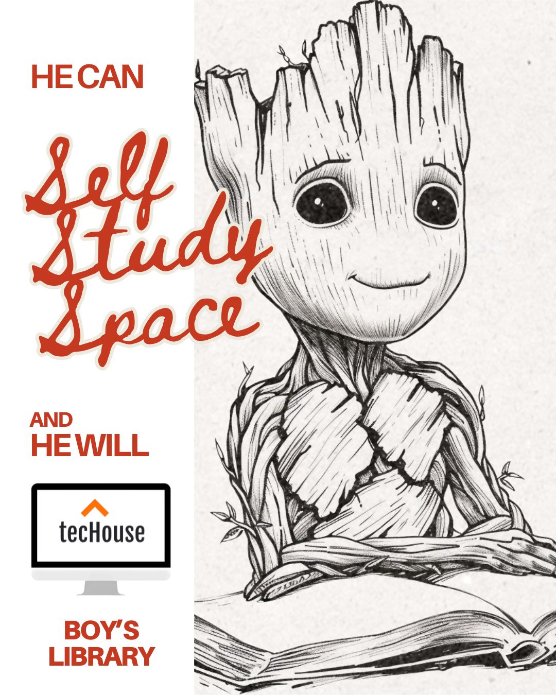 Library for Boys